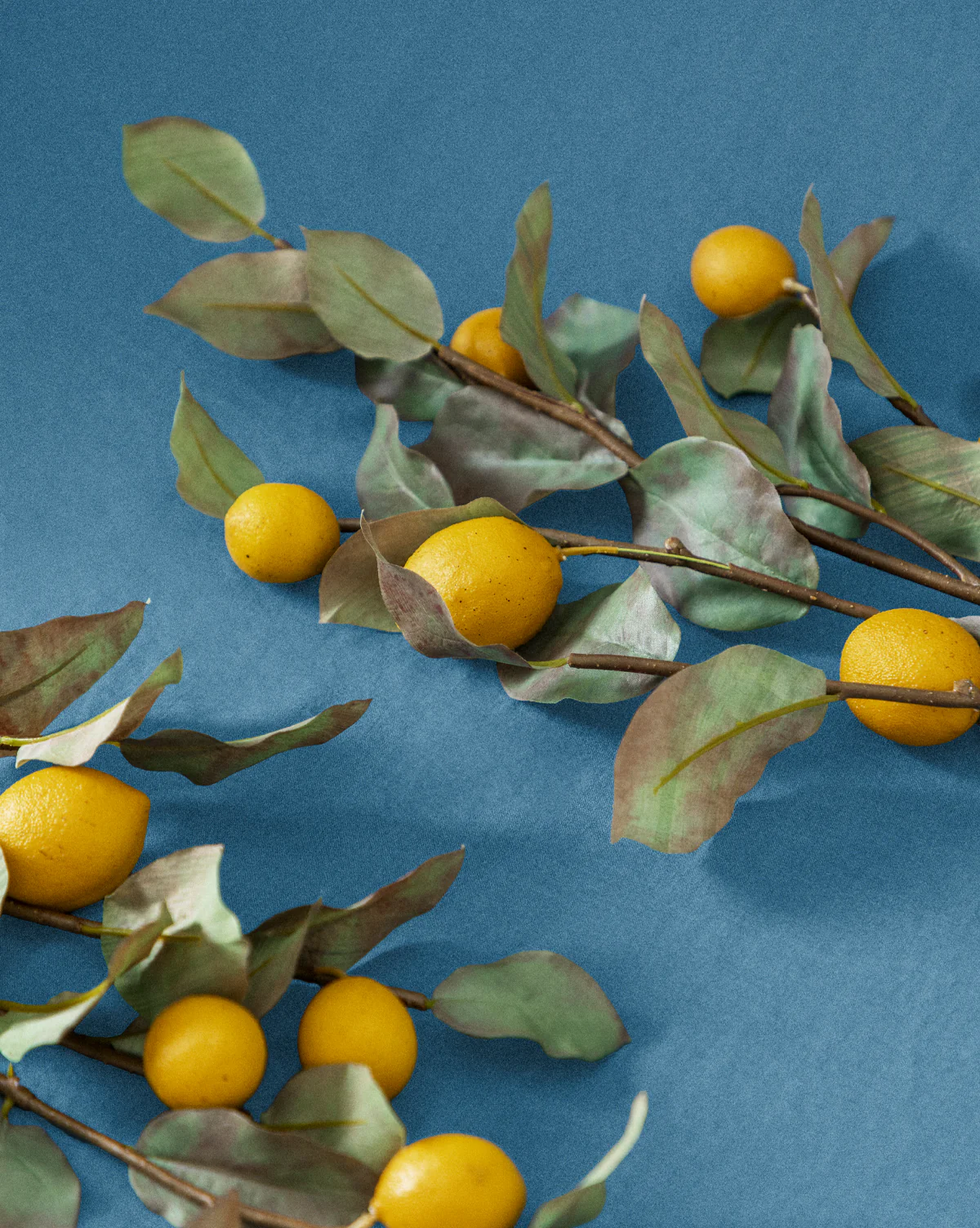 40" Lemon Branch - Image 4