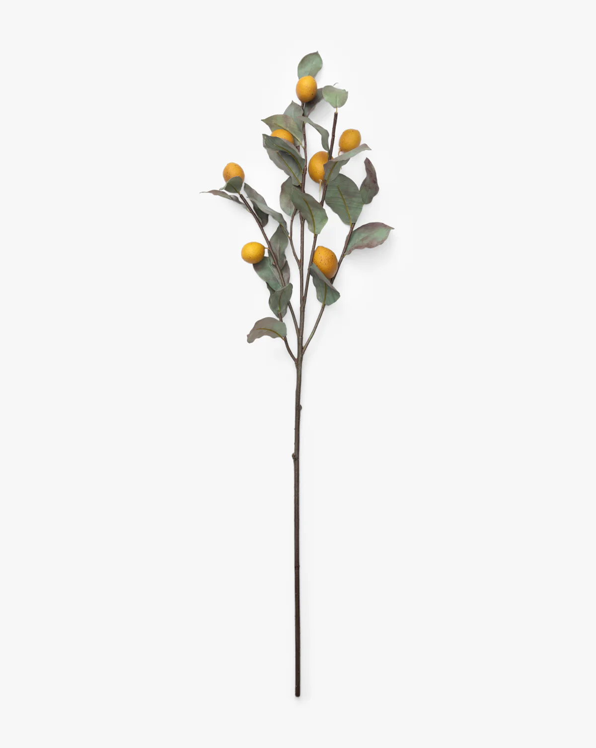 40" Lemon Branch - Image 5