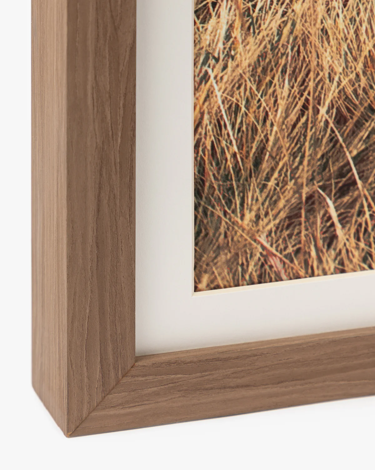 Autumn Marshes - Image 5