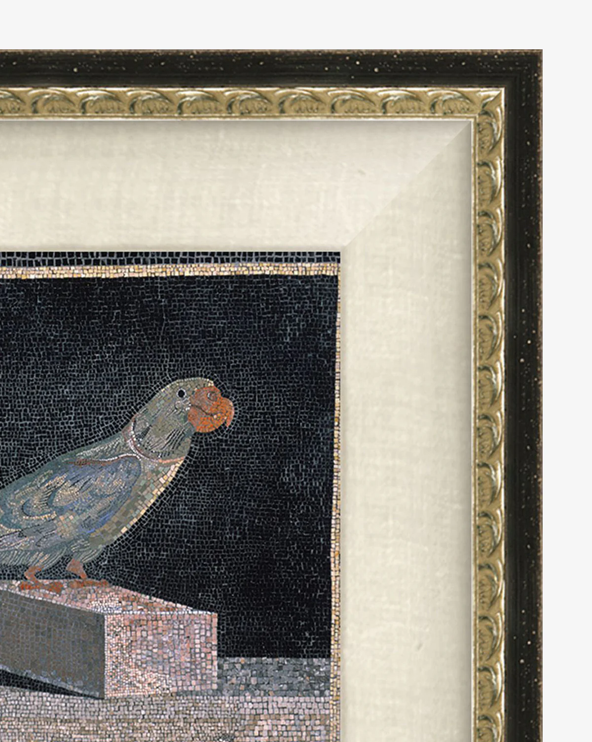 Blue Parrot - Image 4