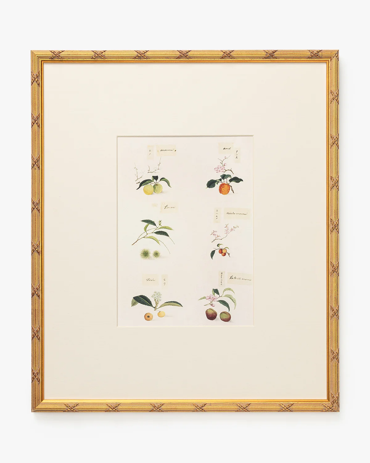 Botanical Grid 1