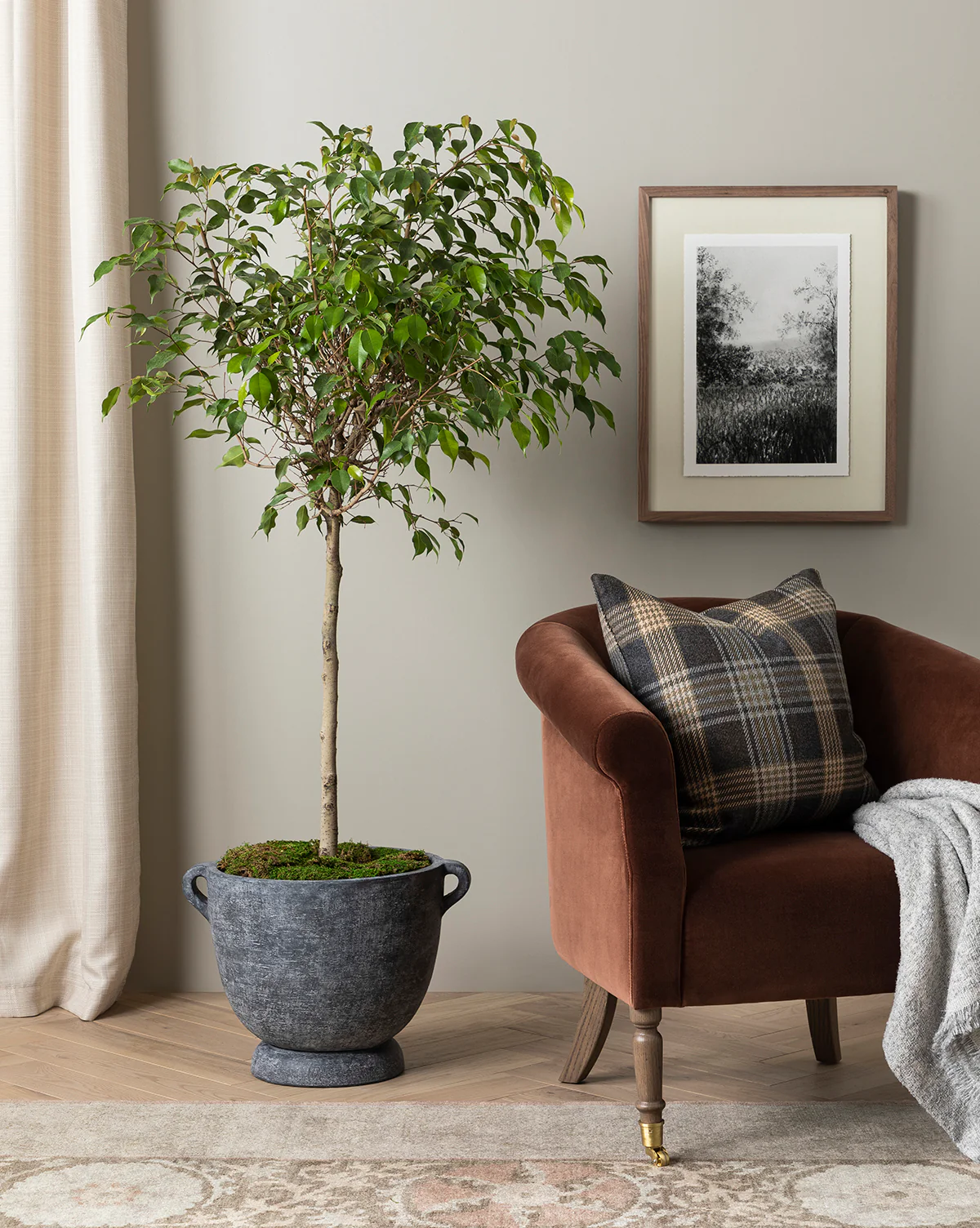 Clemence Lounge Chair (Ready to Ship) - Image 4