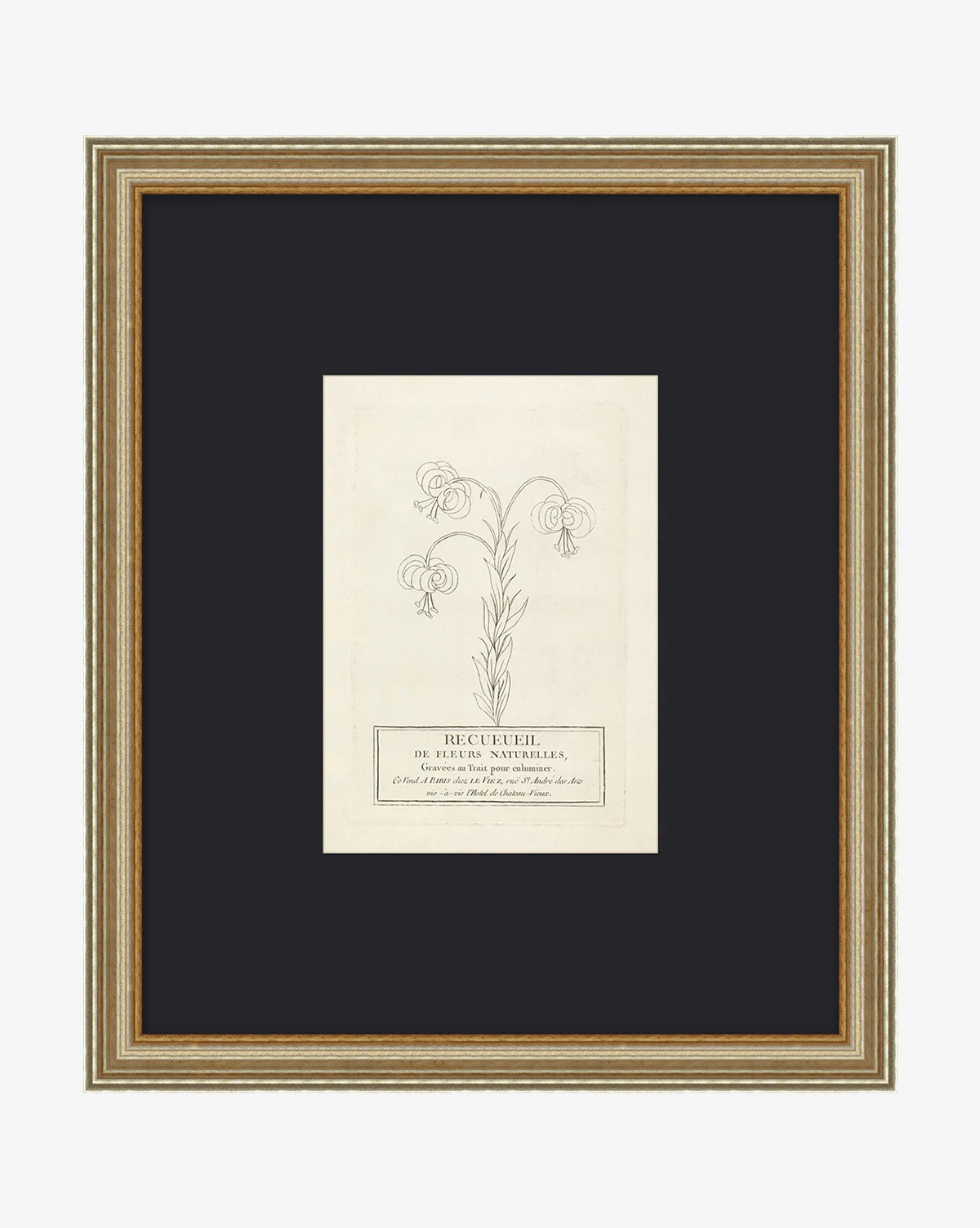 Collection Of French Flowers