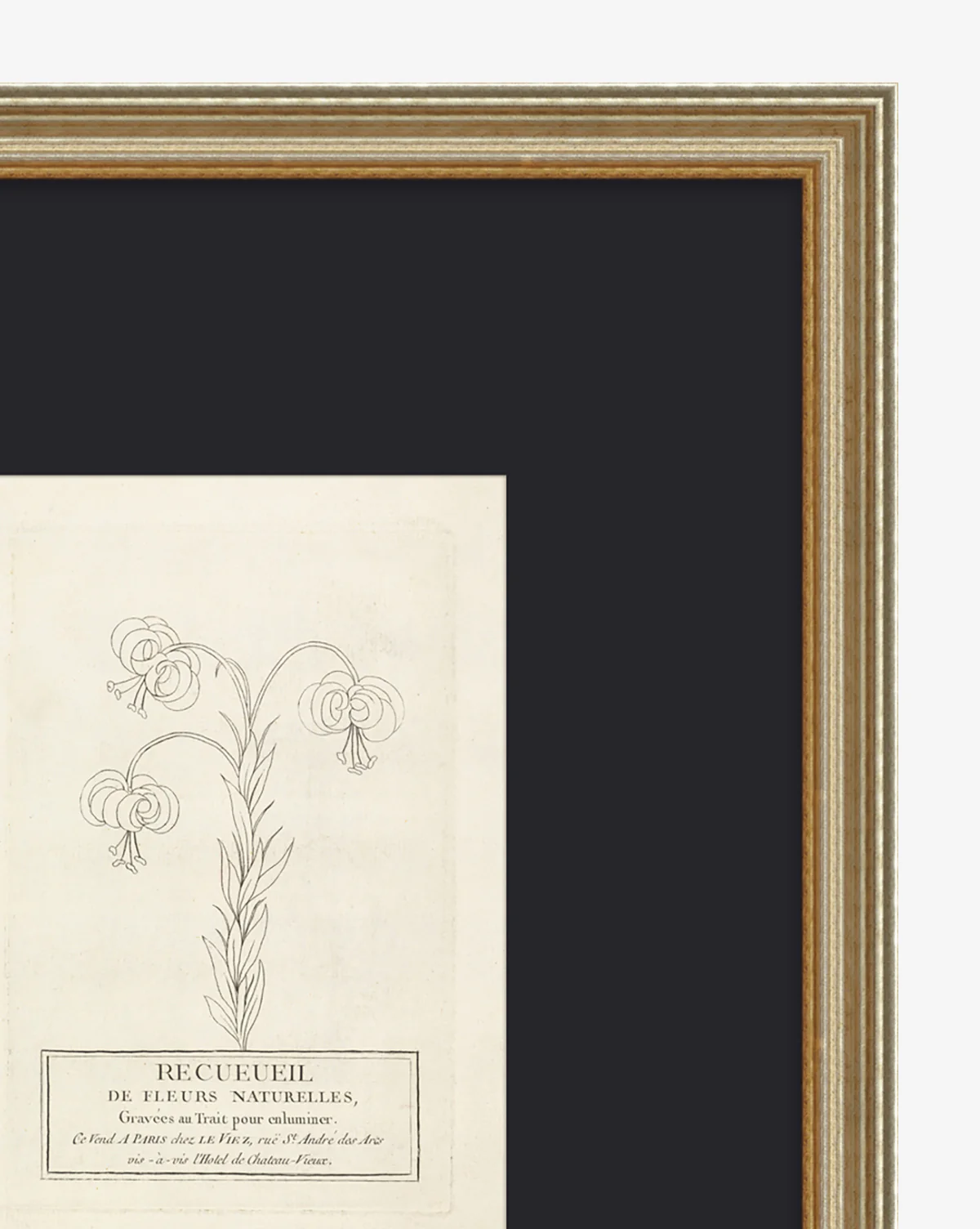 Collection Of French Flowers - Image 2