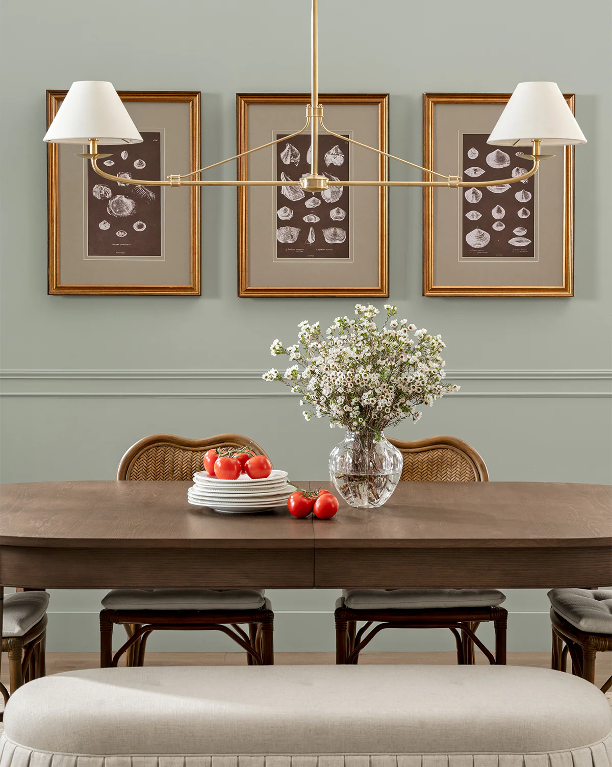 Conchology Study Triptych No. 1 - Image 3