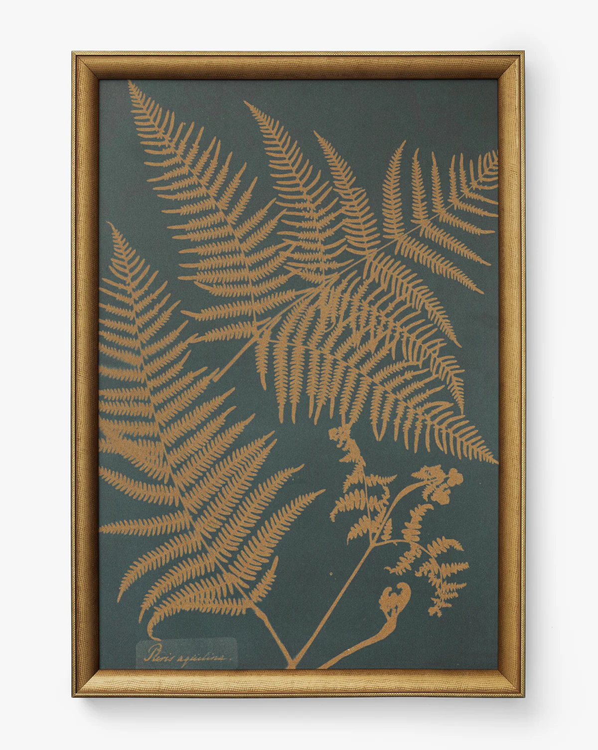 Copper Botanical 2