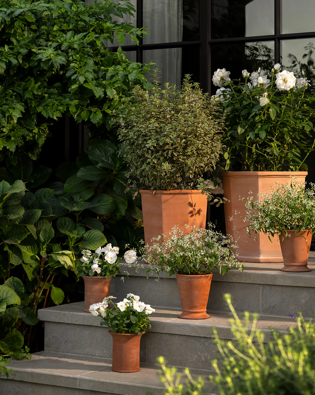 Dempsey Terracotta Pot - Image 4