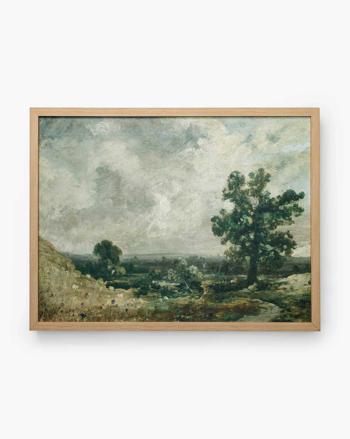 English Meadows - Image 2
