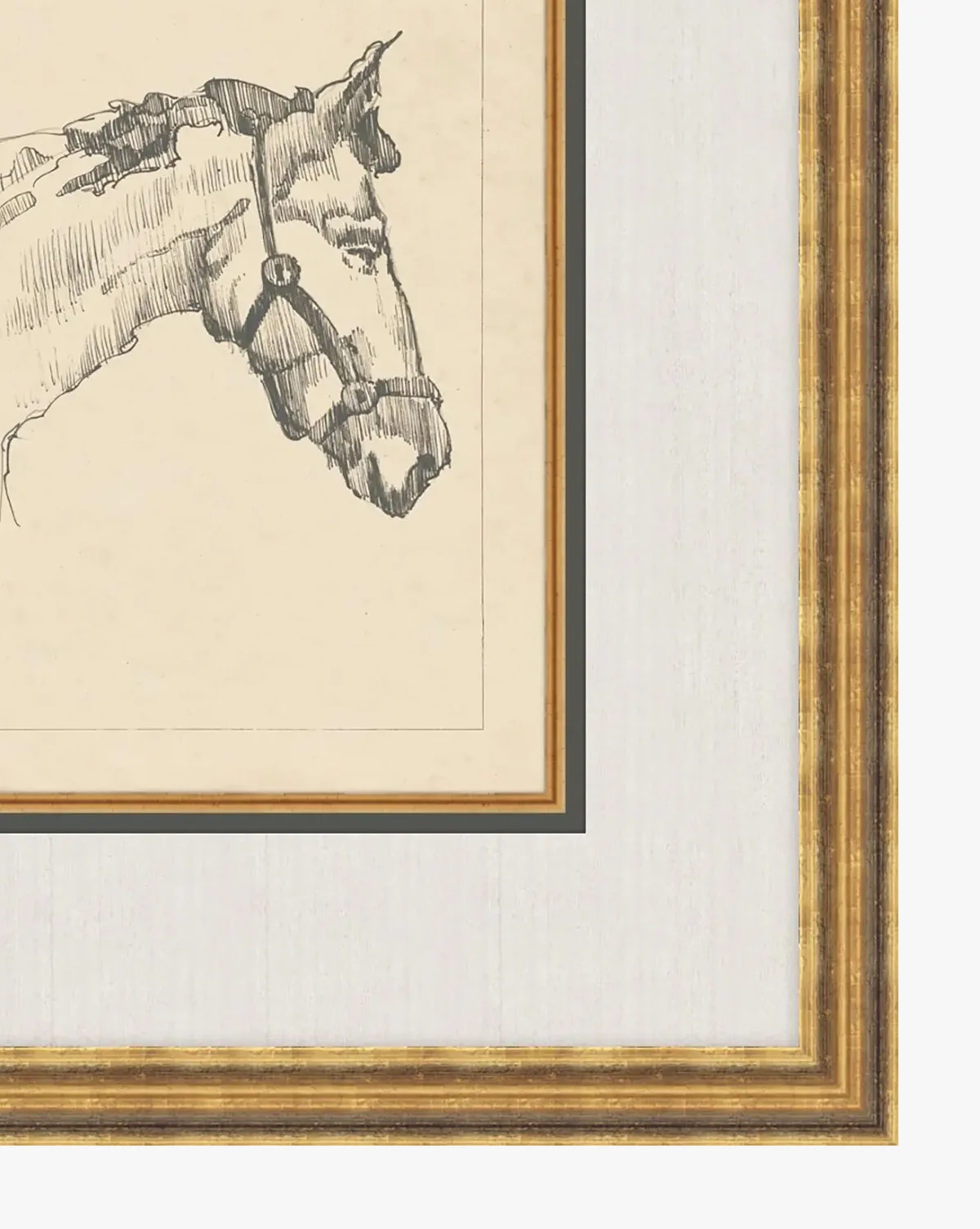 Equine Lines 1 - Image 2