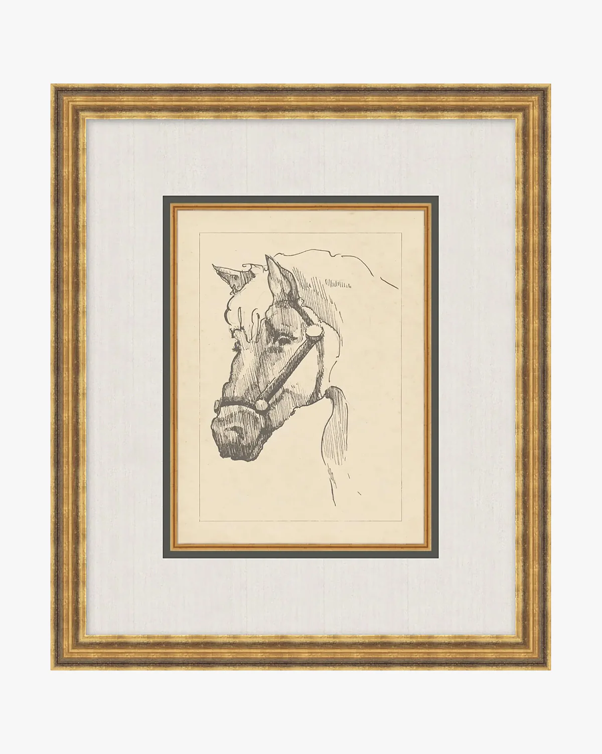 Equine Lines 2