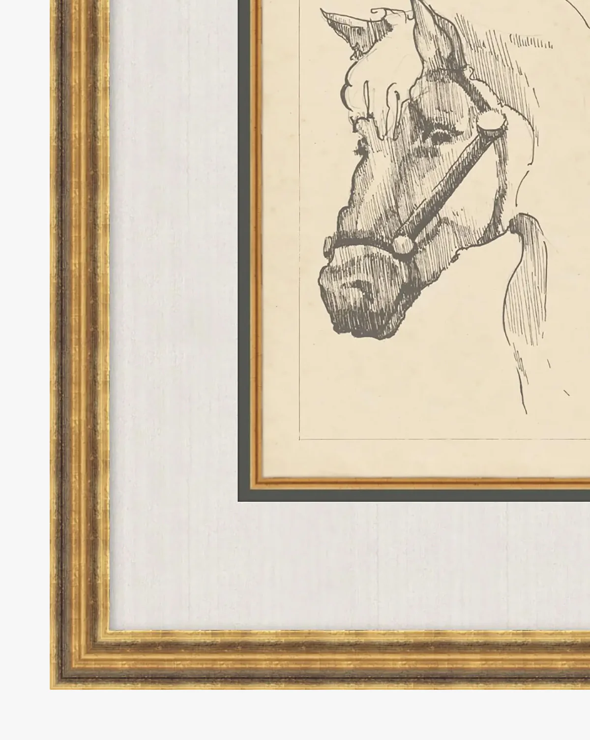 Equine Lines 2 - Image 2