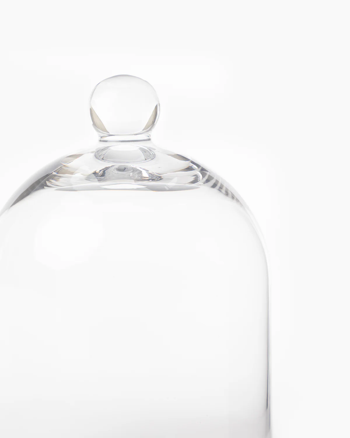 Glass Cloche - Image 4