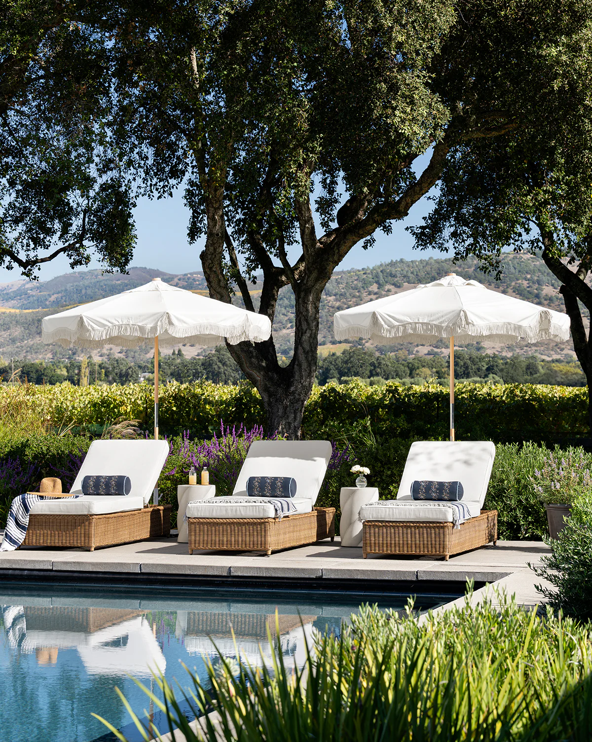 Haviland Outdoor Chaise - Image 4