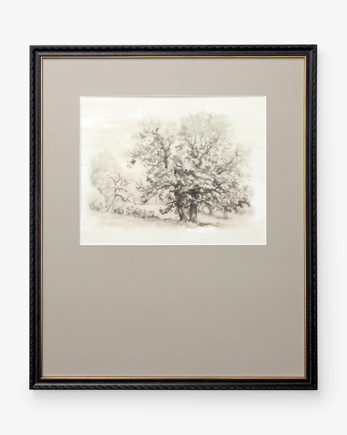Heathland Oak
