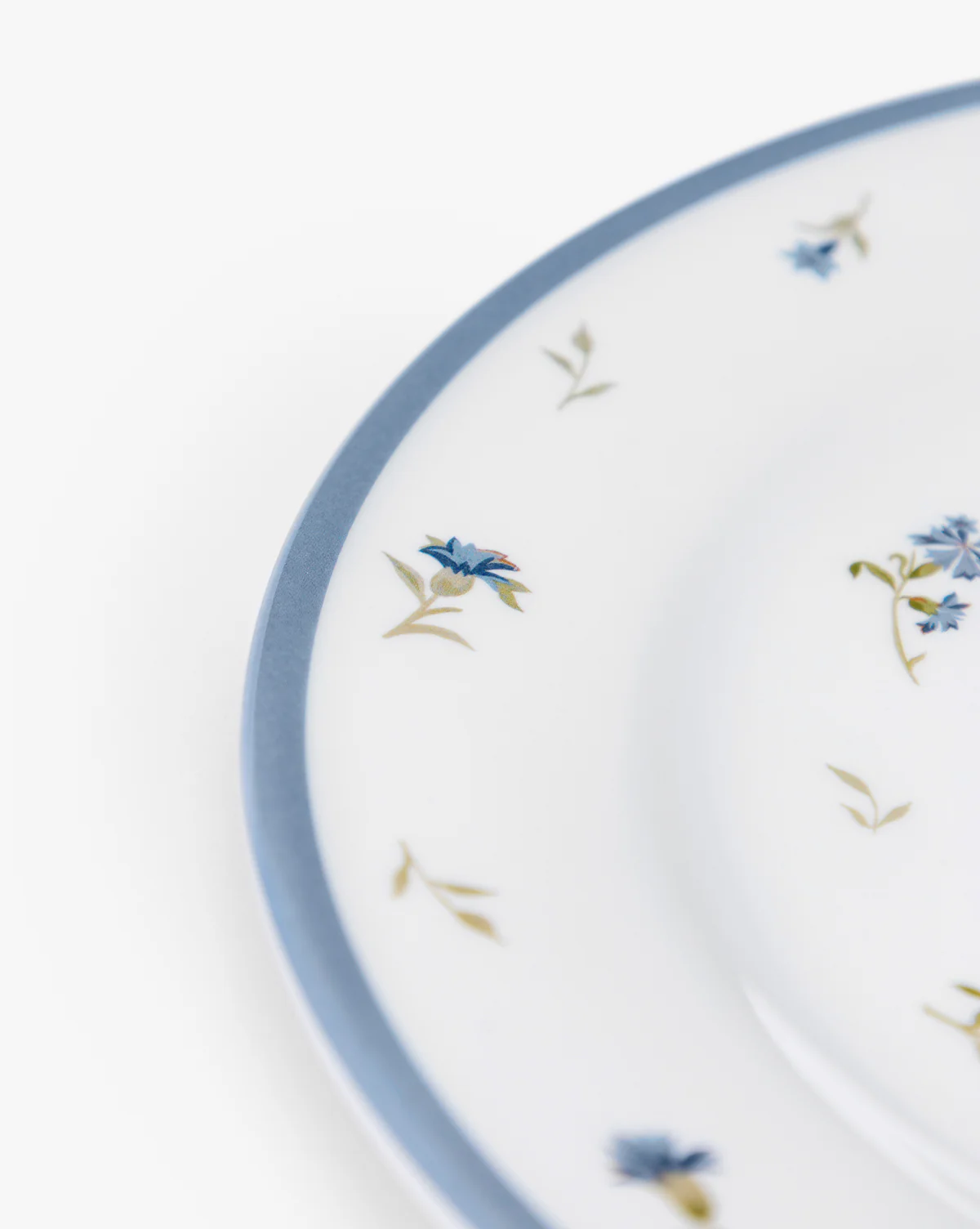 Hollingbury Melamine Outdoor Dinner Plates (Set of 4) - Image 4