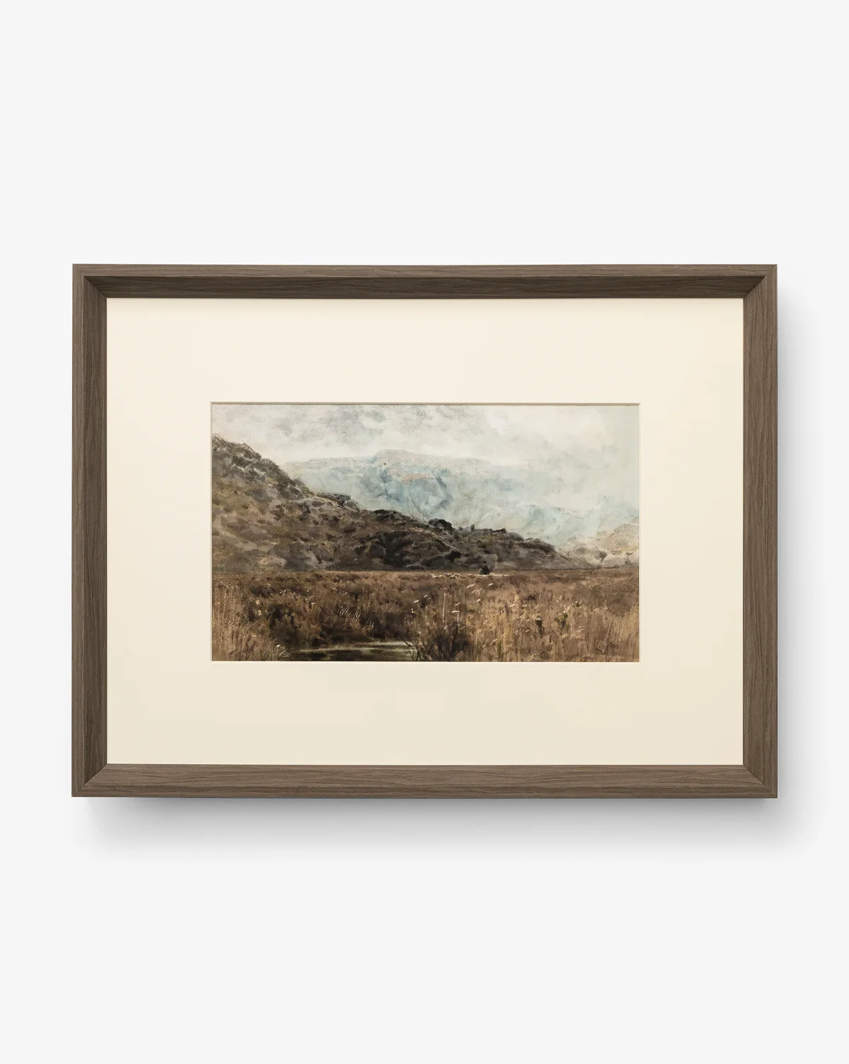 Marshland