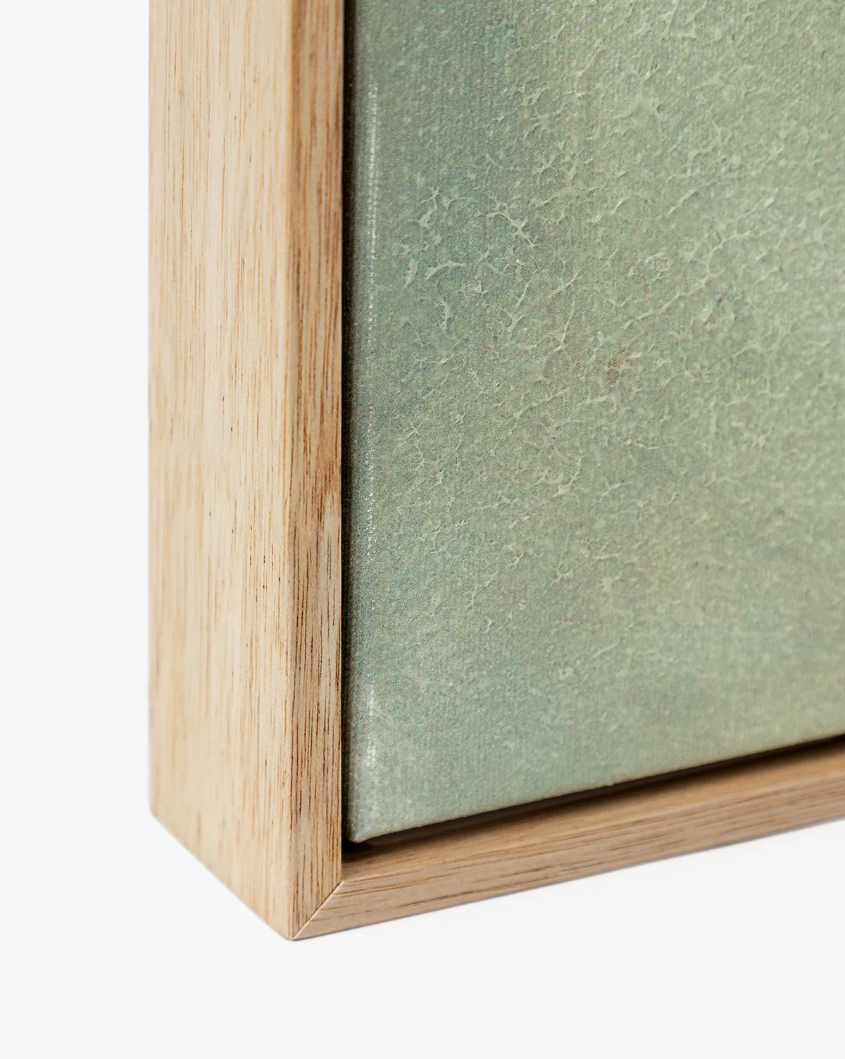 Moss - Image 5