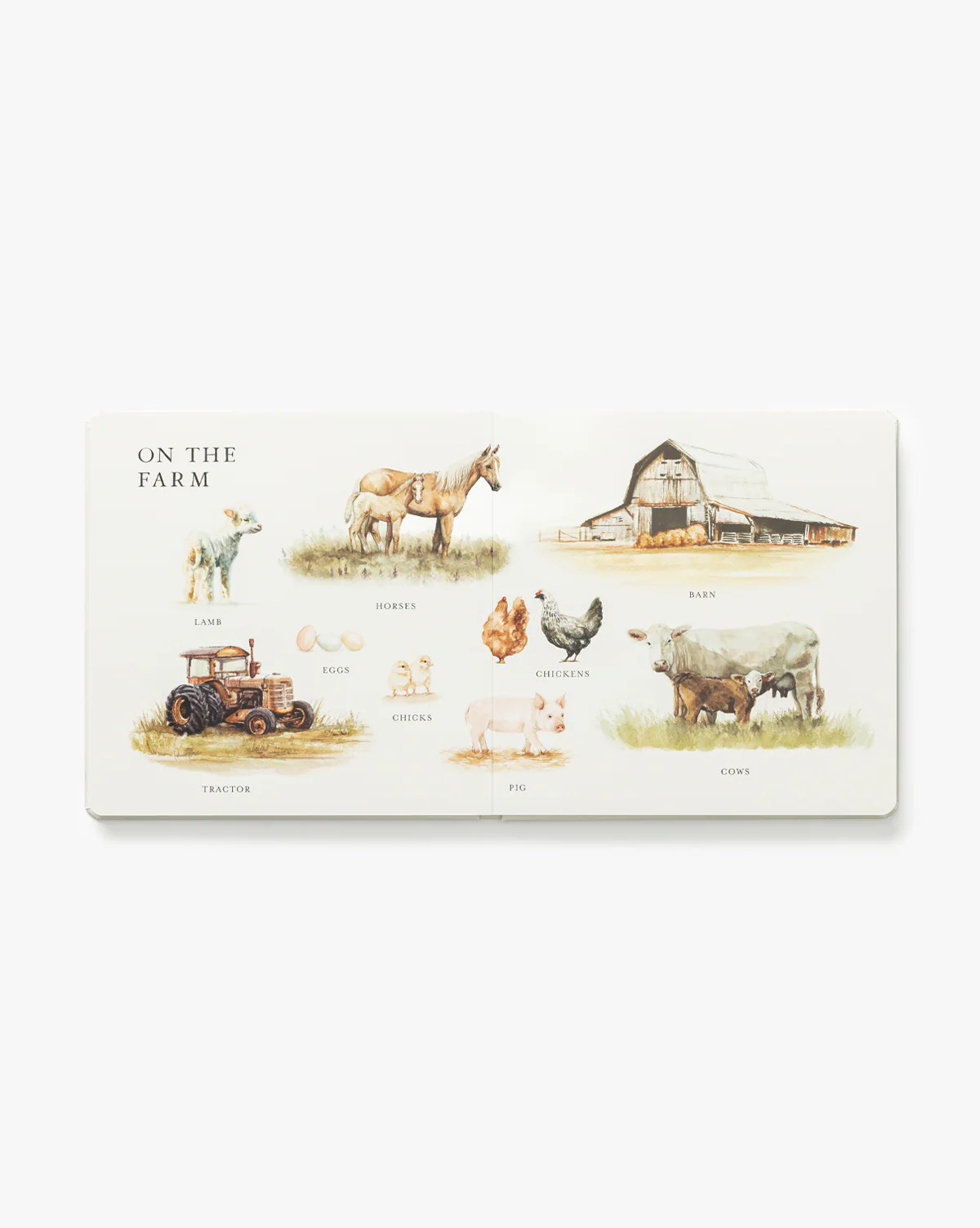 Our Big Book of First Words - Image 2