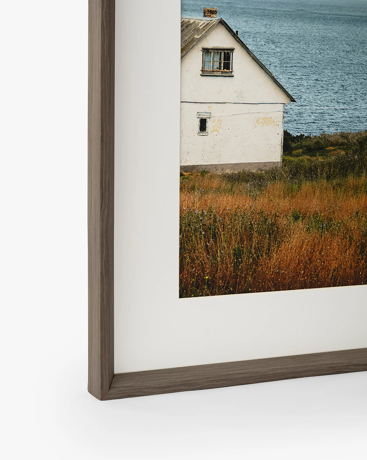 Room with a View - Image 4