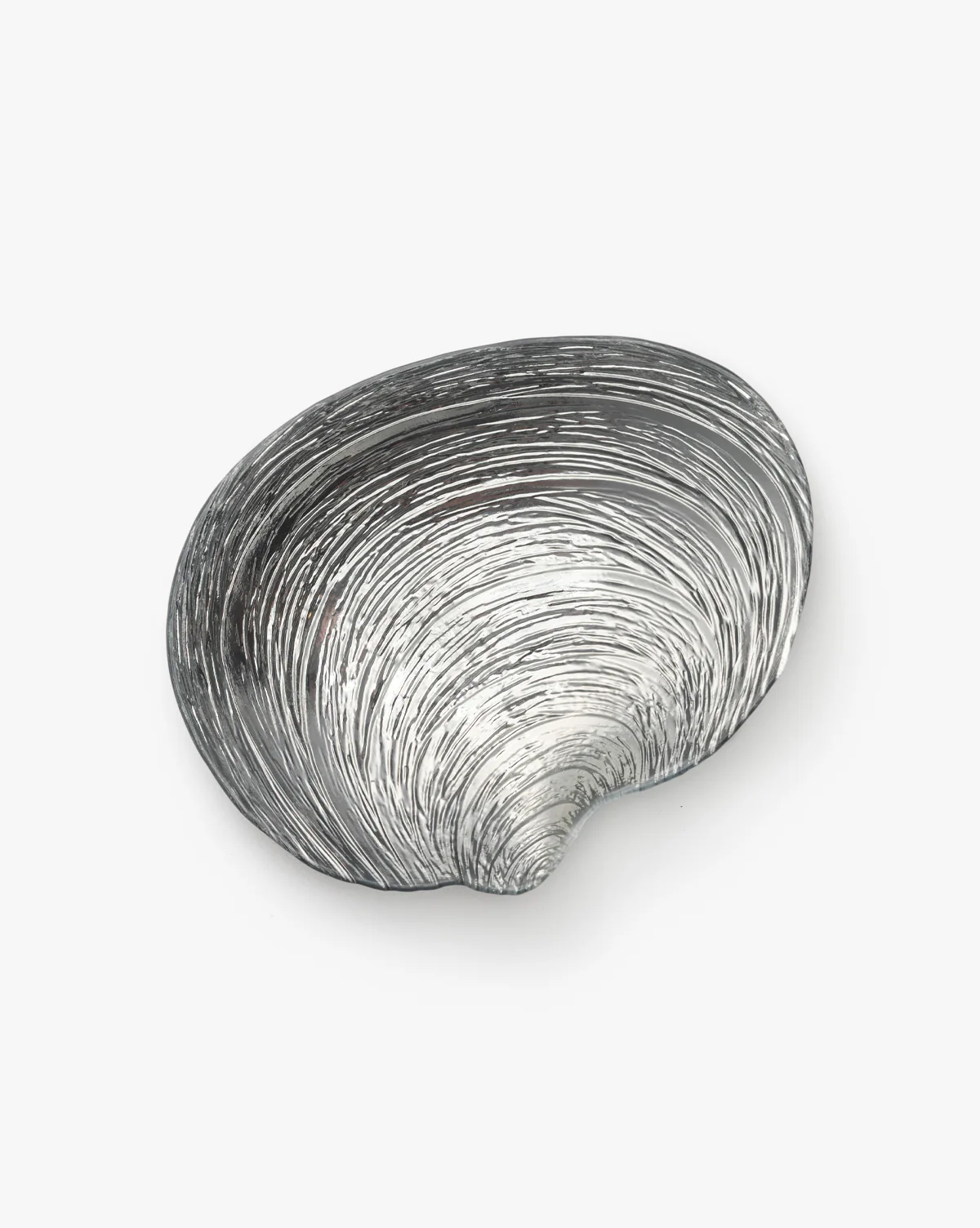 Specchio Shell Bowl in Silver