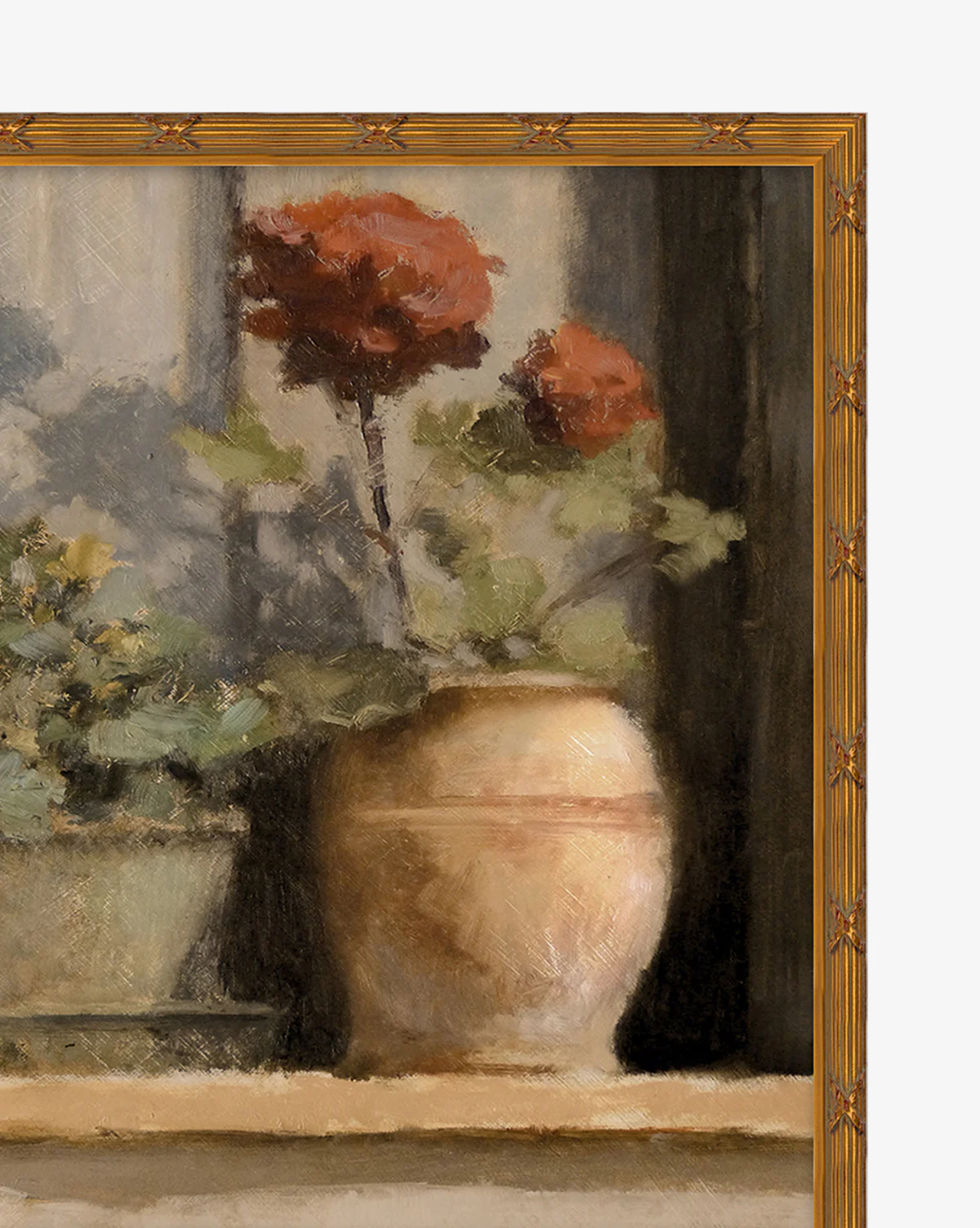Stoop Geraniums - Image 3