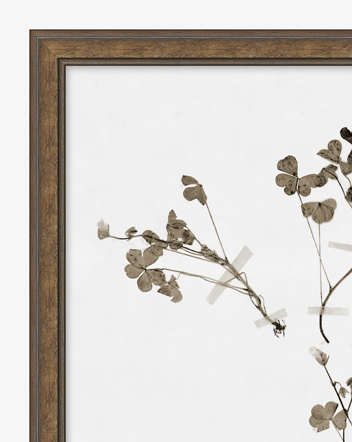 Subdued Botanicals I - Image 4
