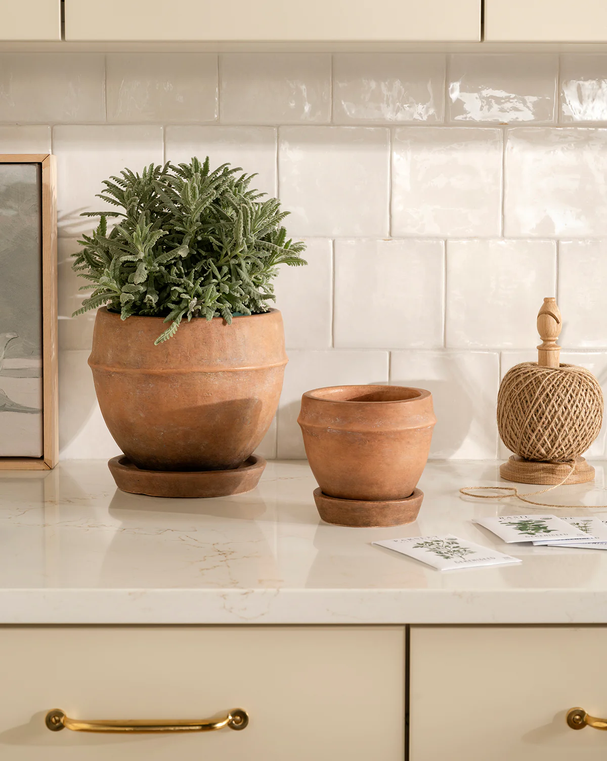 Vichy Terracotta Planter