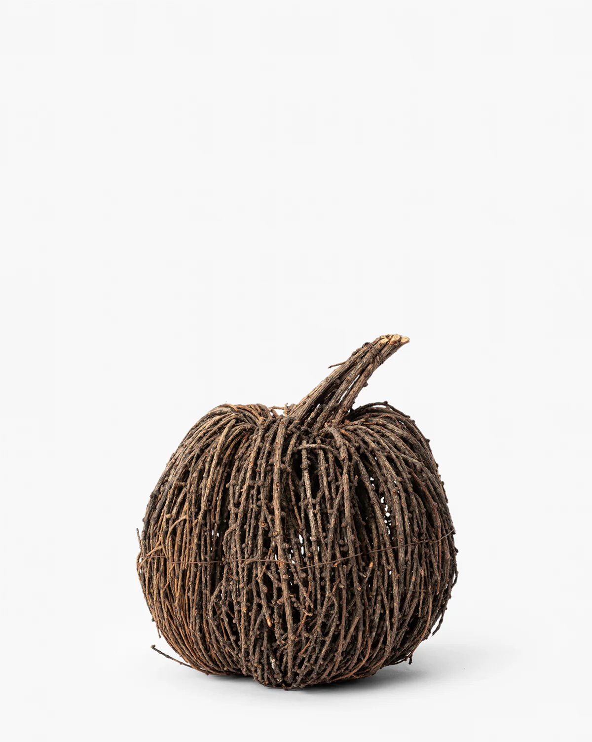 Vine Pumpkin - Image 2