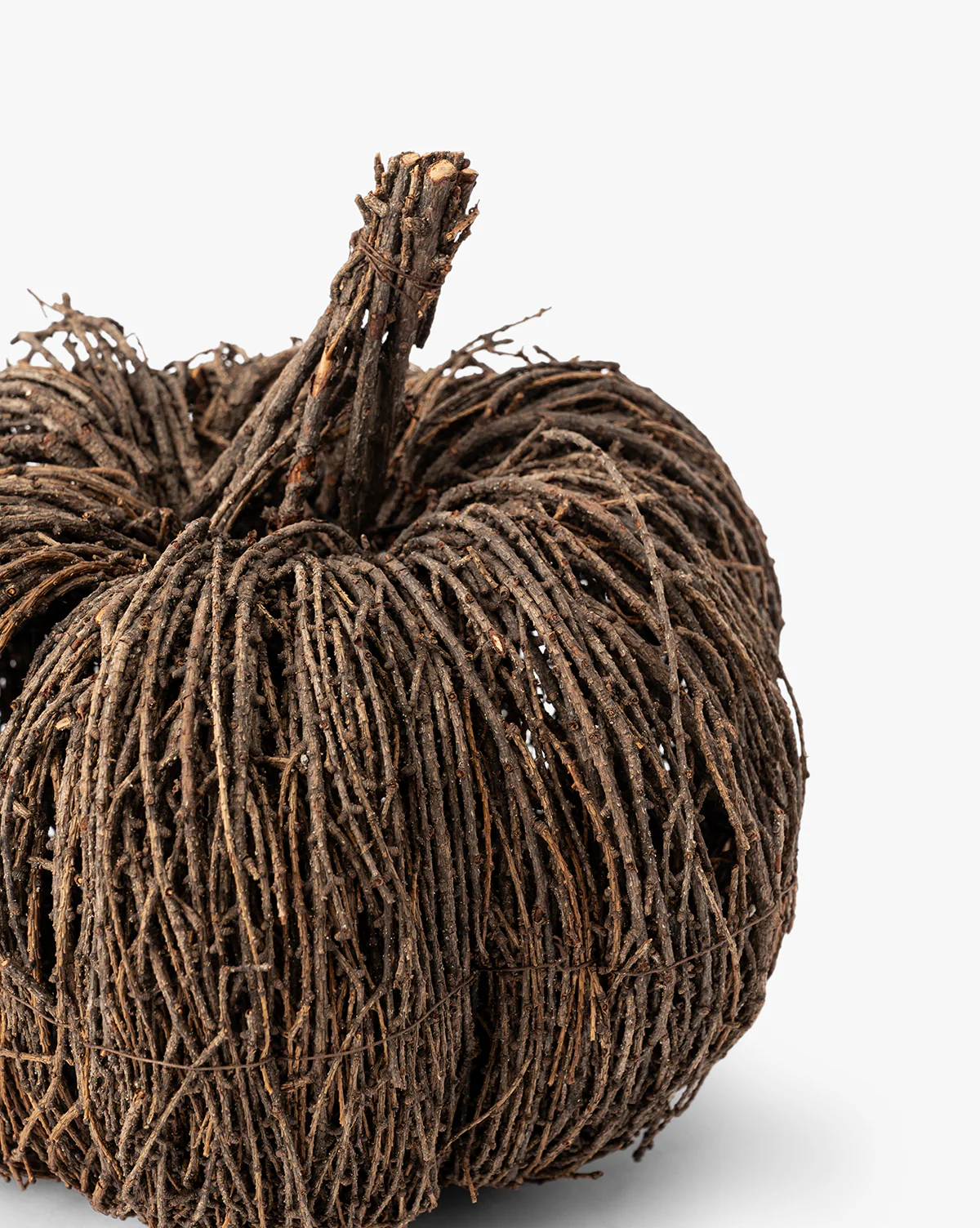 Vine Pumpkin - Image 5