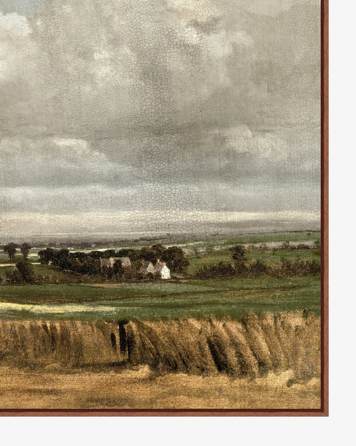 Wheatfield - Image 2