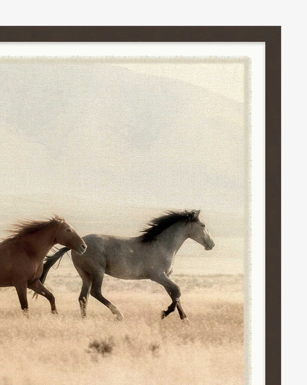 Wild Horses - Image 2